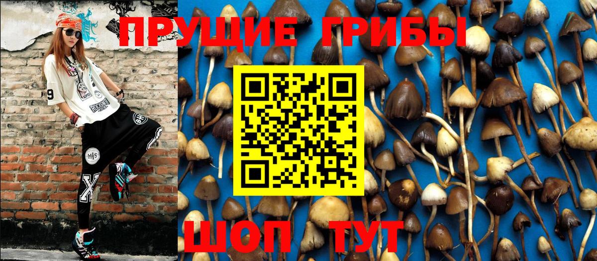 наркота  Псилоцибиновые грибы прущие грибы  Можга  Вход с VPN  Псилоцибиновые грибы GOLDEN TEACHER 