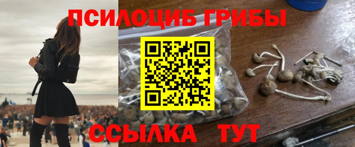 Псилоцибиновые грибы Magic Shrooms Можга